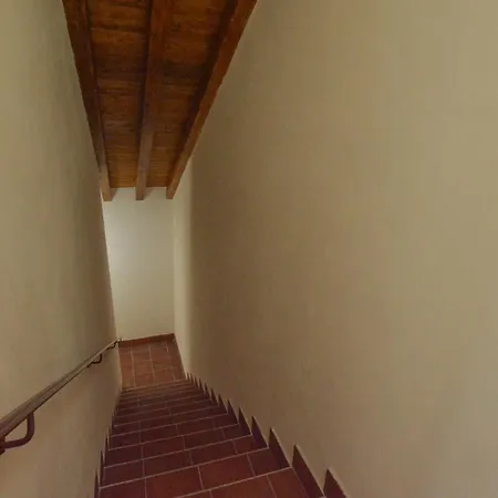 3 Bedroom Cozy In שאקה